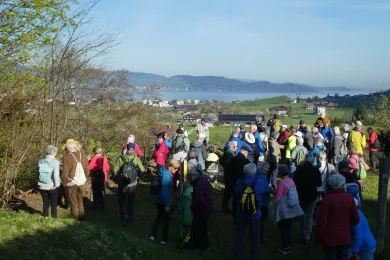 Das Zuger Senioren-Wandern in Goldau